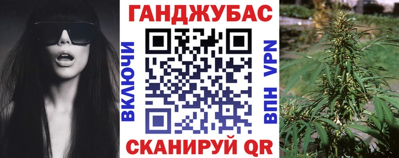 где можно купить   Нариманов  ОМГ ОМГ как войти  Бошки Шишки ГИДРОПОН 
